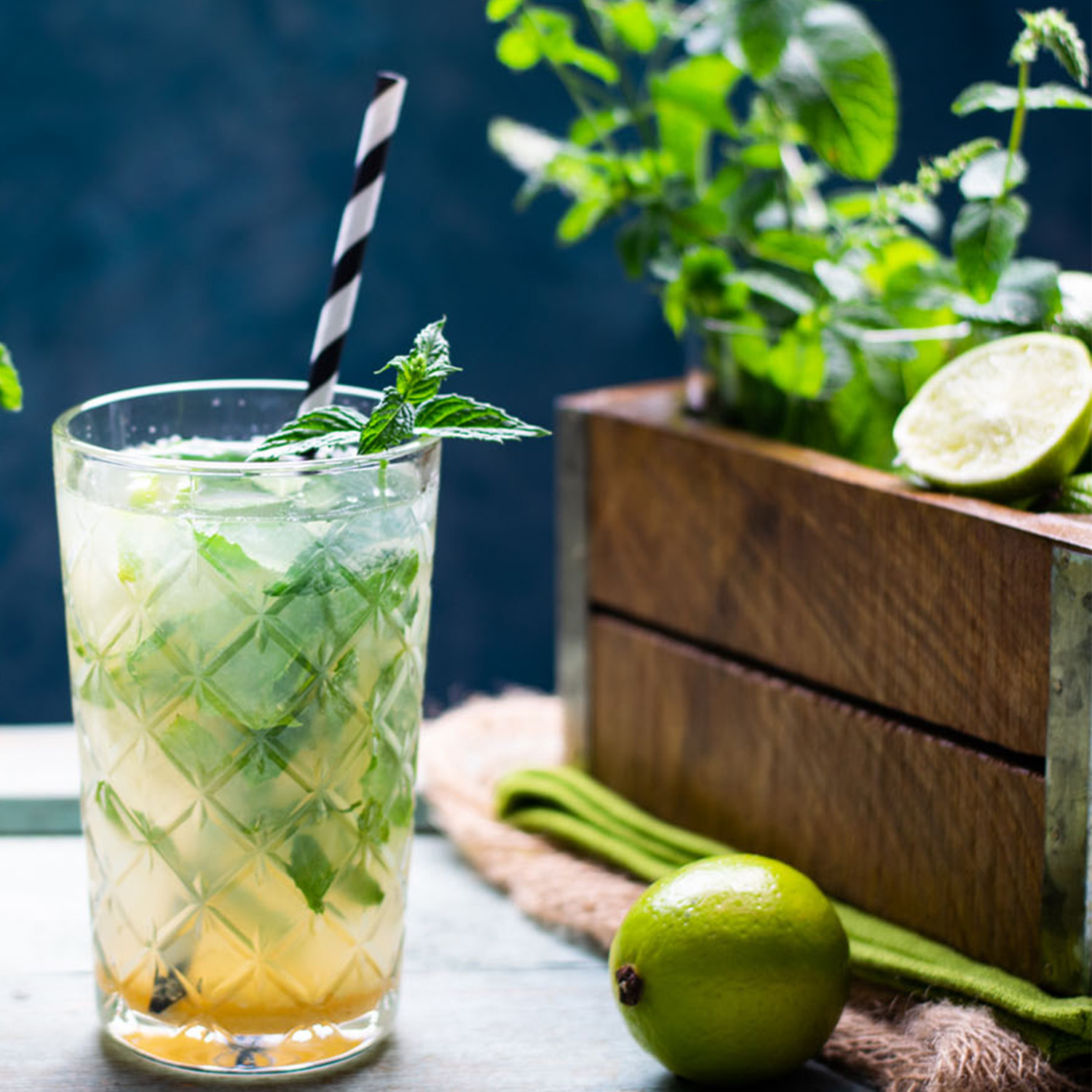 MOJITO SUMMER PARTY